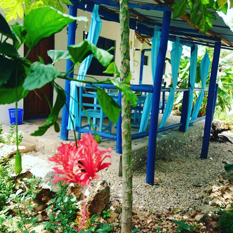 Furaha B&B Kendwa Renate