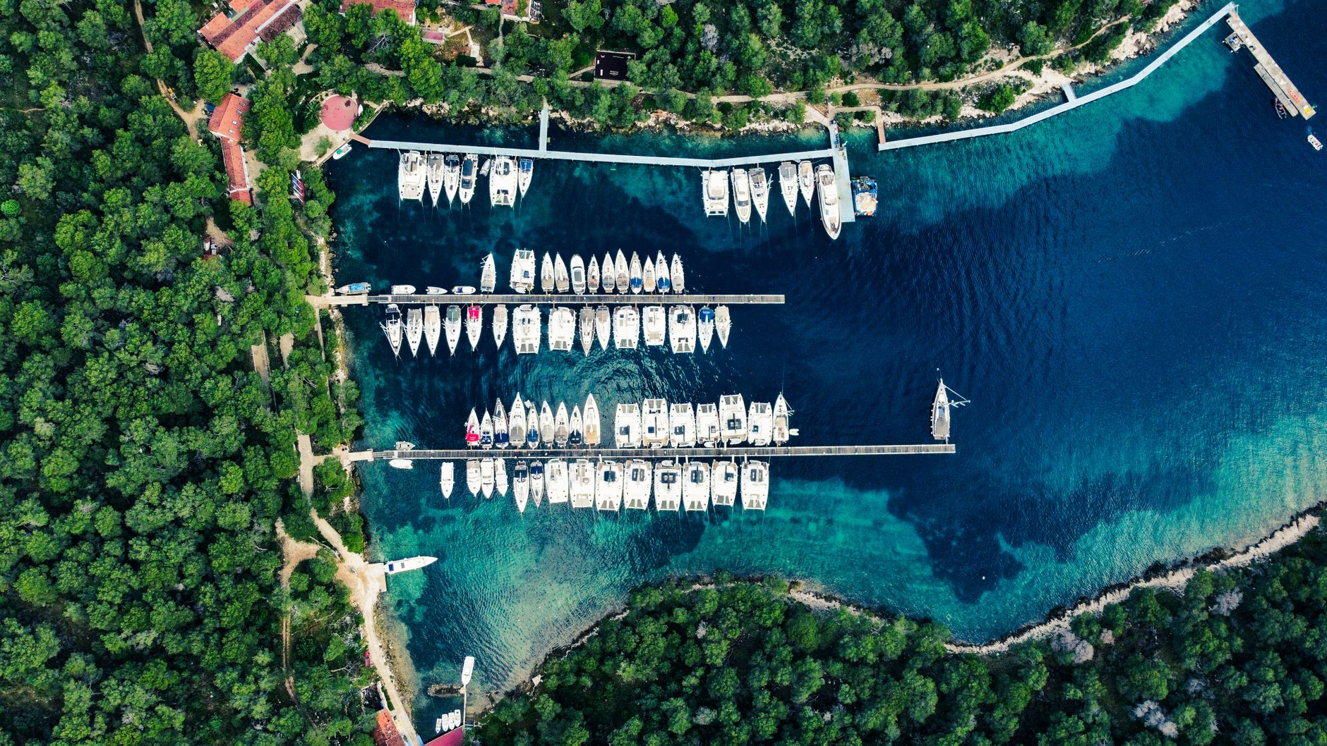 Palmižana Beach