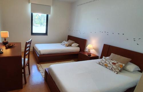 PIO XII - ALOJAMENTO LOCAL